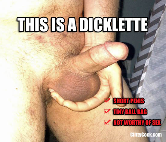 Dicklette defined with examples